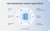 blockchain agriculture
