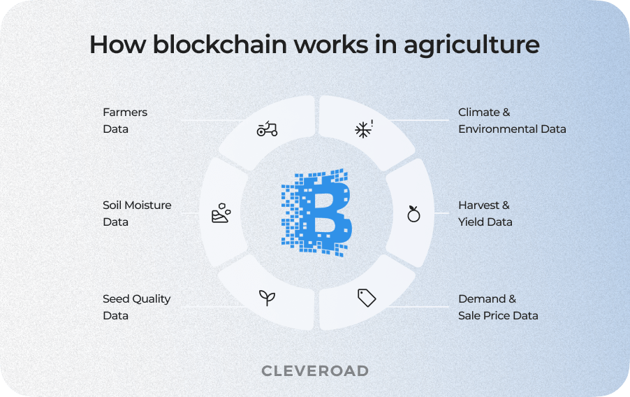 blockchain agriculture