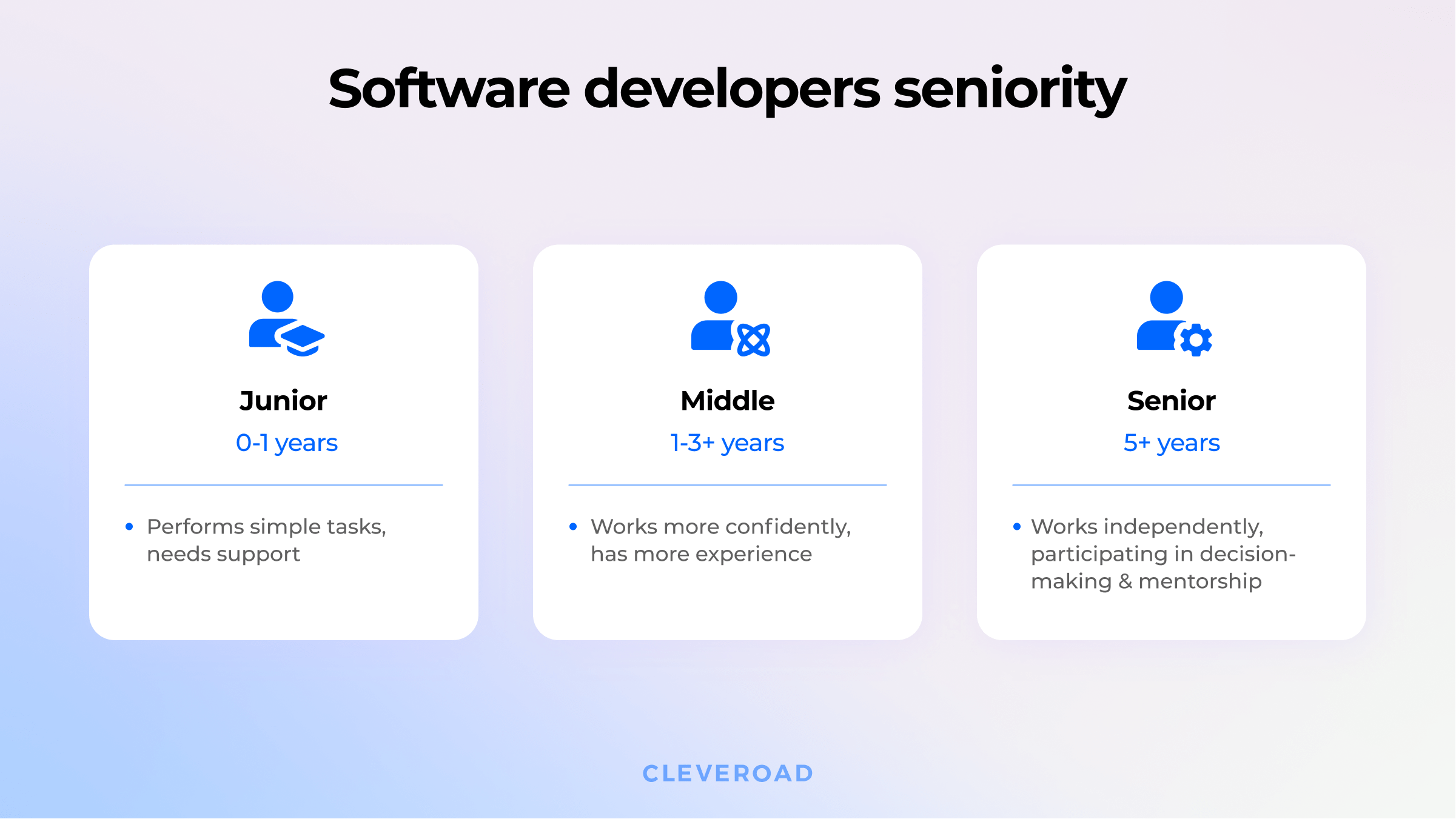Software dev seniority