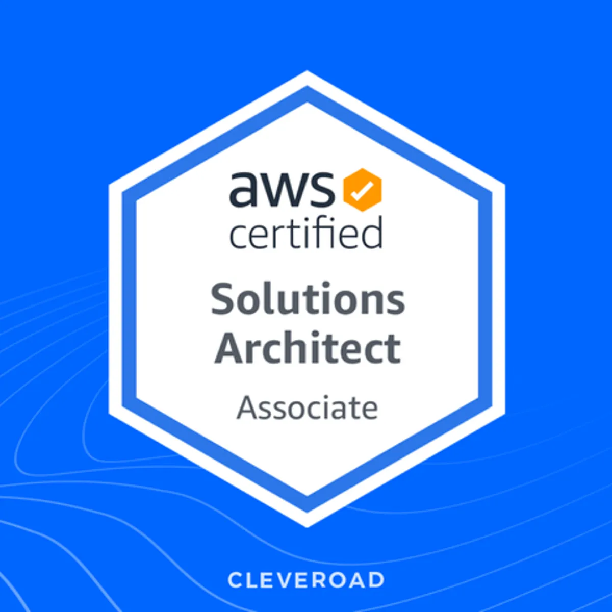 Cleveroad Completed AWS Solutions Architect Certification