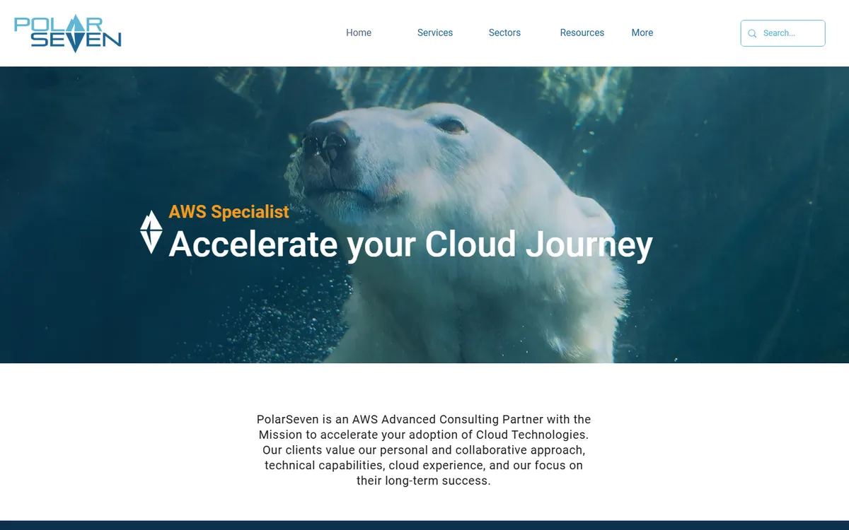 Polar Seven web development company