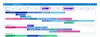 Milestones on a roadmap