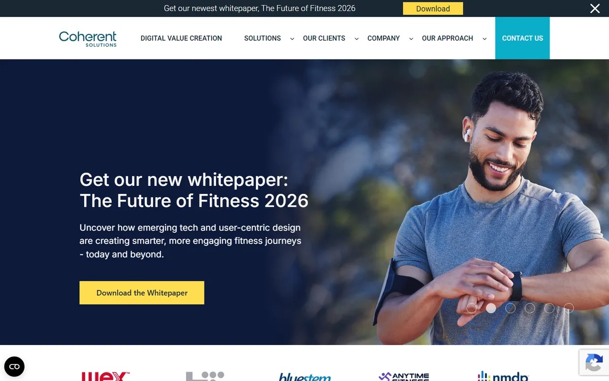 Coherent Solutions IT staff augmentation team