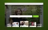 AYIO website