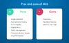 Advantages and disadvantages of using MIS