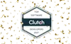 Cleveroad is a top Flutter development company