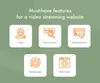 How to build a video streaming website MVP features