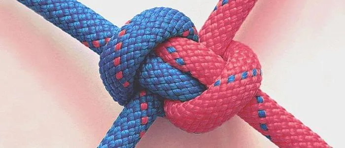article
