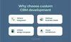 Custom CRM development