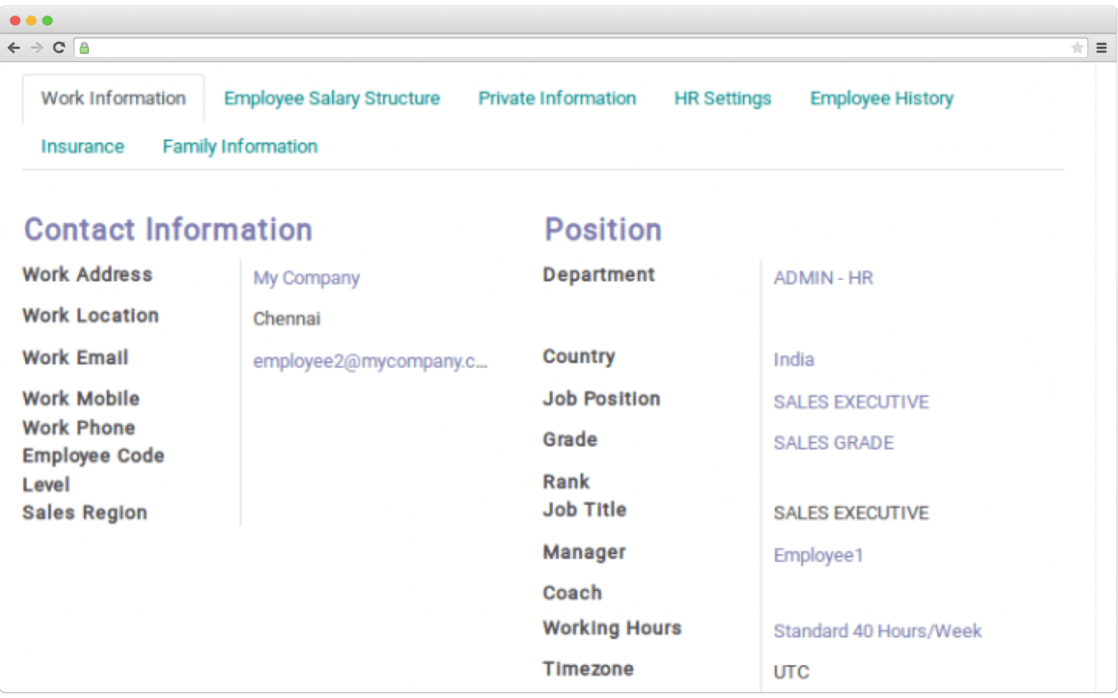 How employee profiles look like in ERP