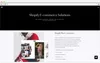 Ecommerce development company: Avex Design