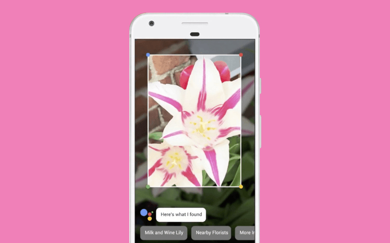 Google Lens Google Lens