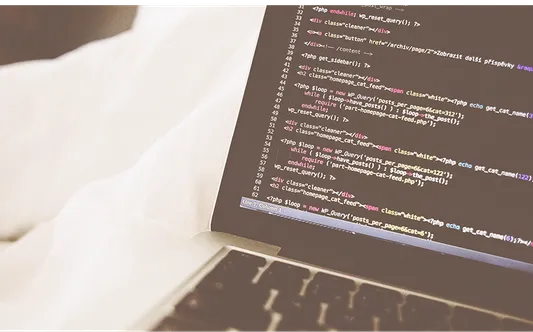 software development process