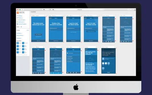 Enterprise application development. Wireframes