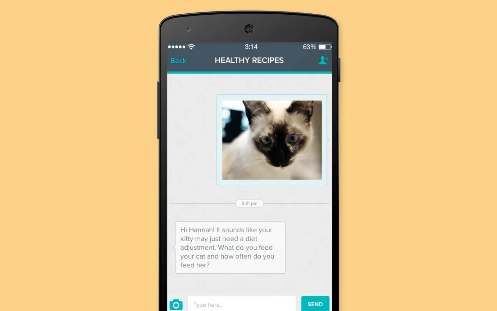apps for cats android