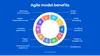 Advantages of Agile