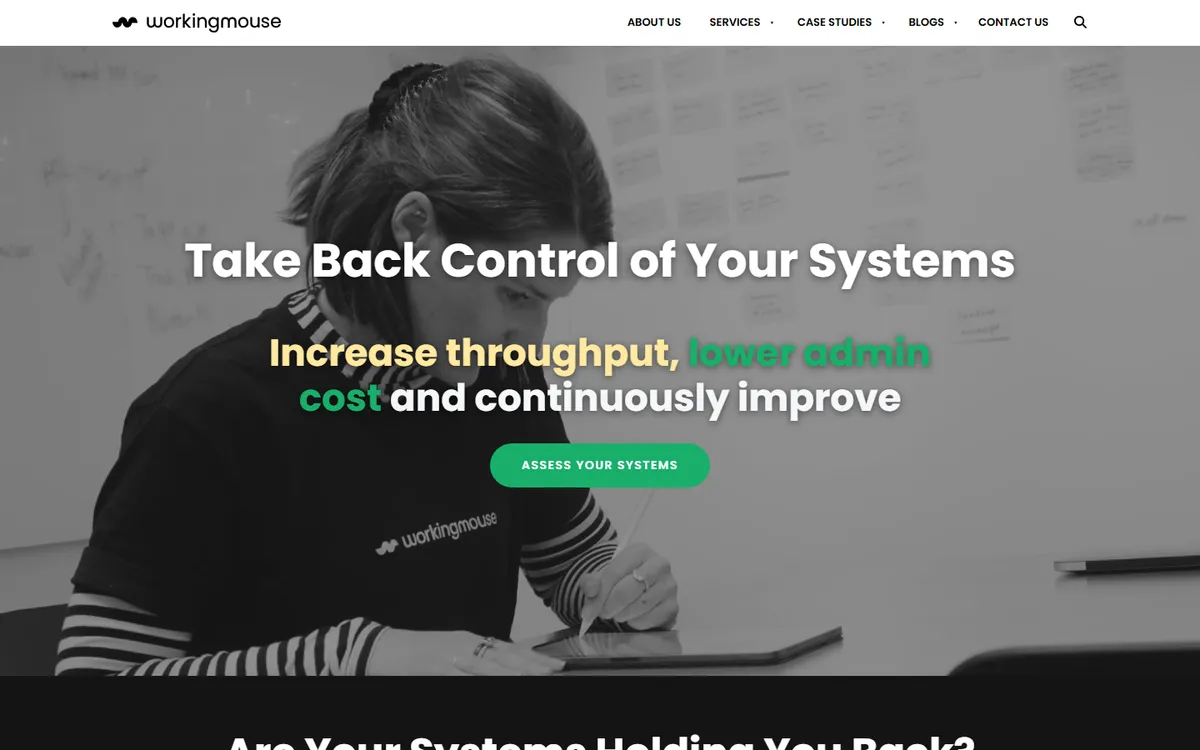 WorkingMouse web development company