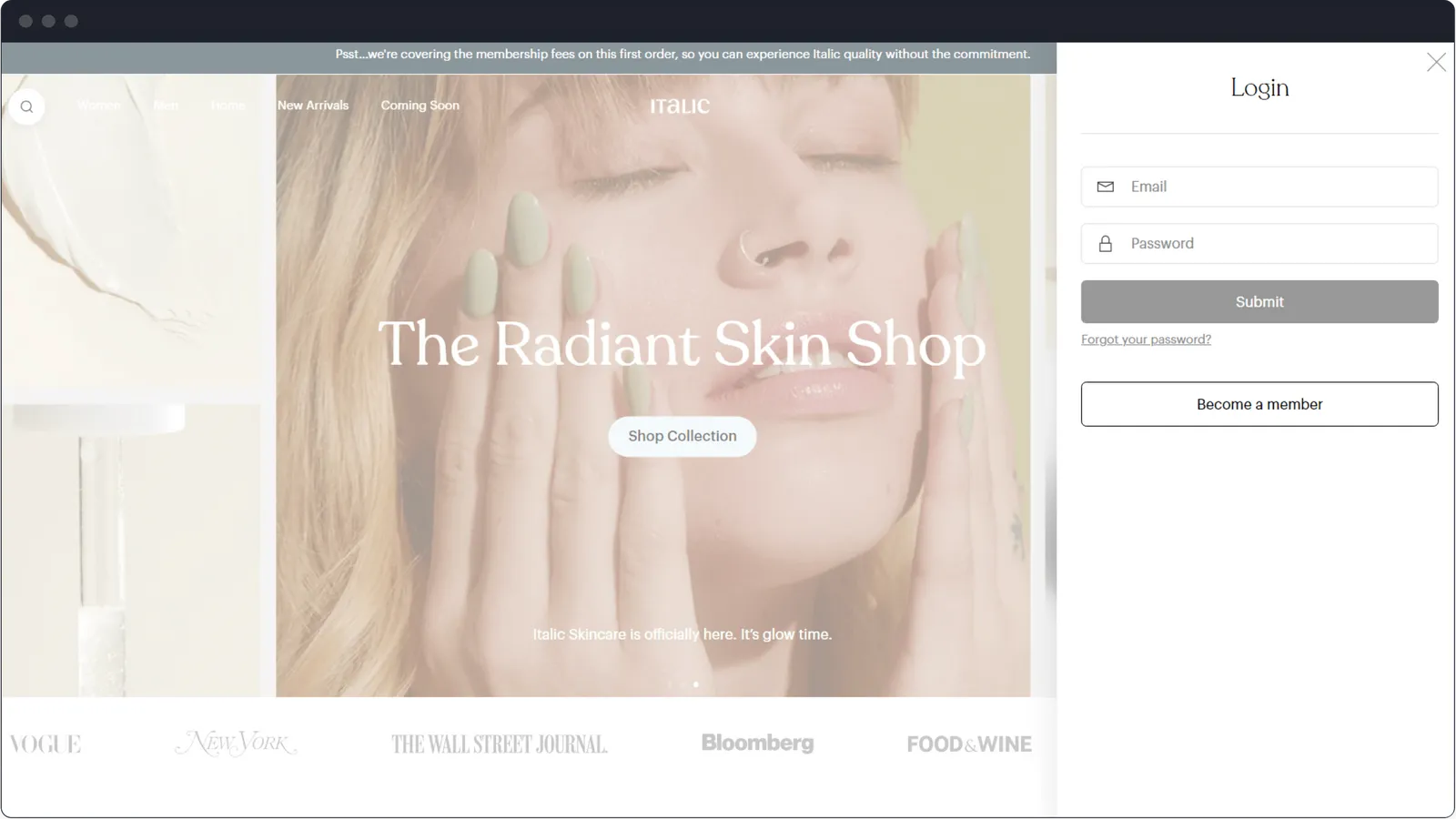 How to make an e-commerce website