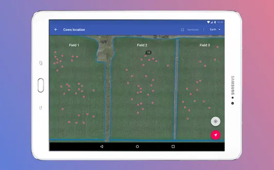 Cows tracking