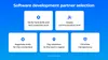 software development partnership
