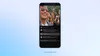 how to develop live streaming app