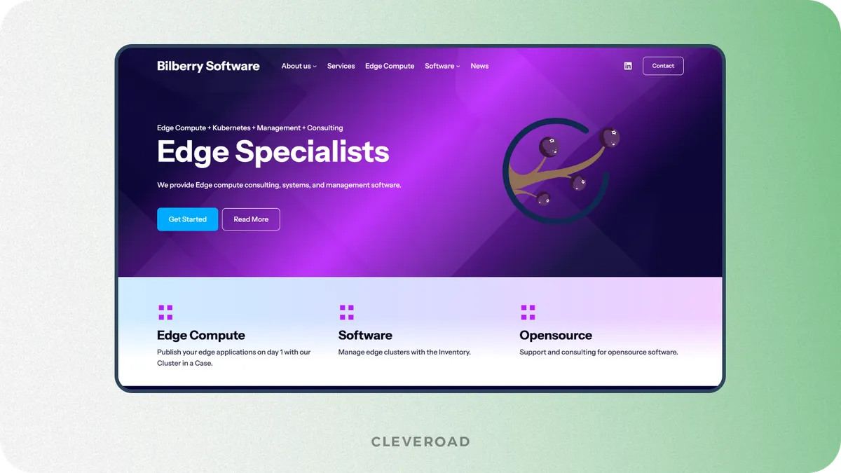 Bilberrry software development company
