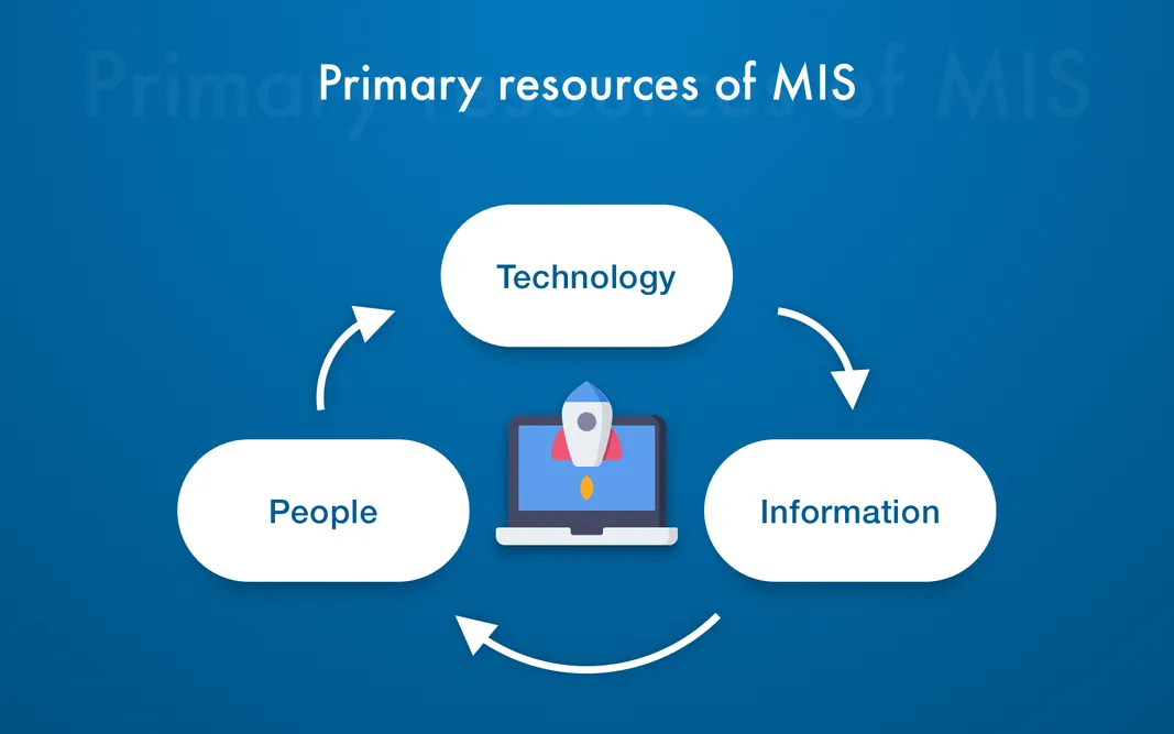 MIS software primary resources concept