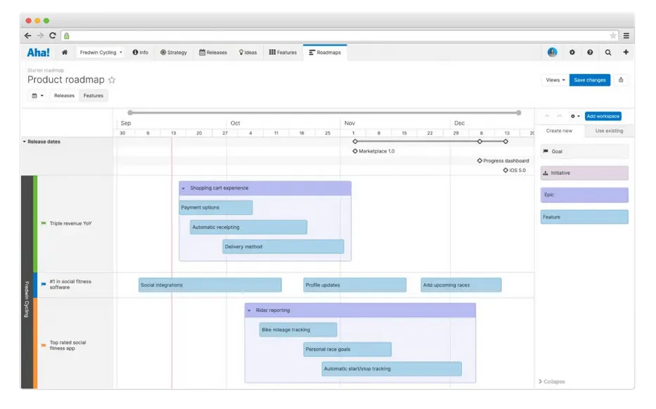 Aha! roadmap template