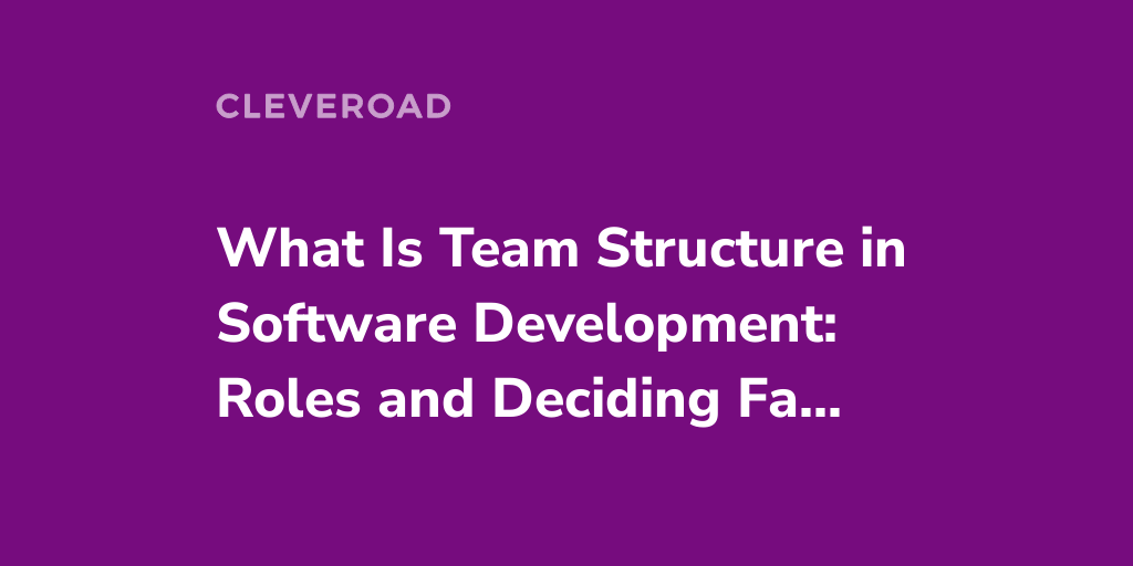 Software Development Team Structure: Roles, Types and Best Practices