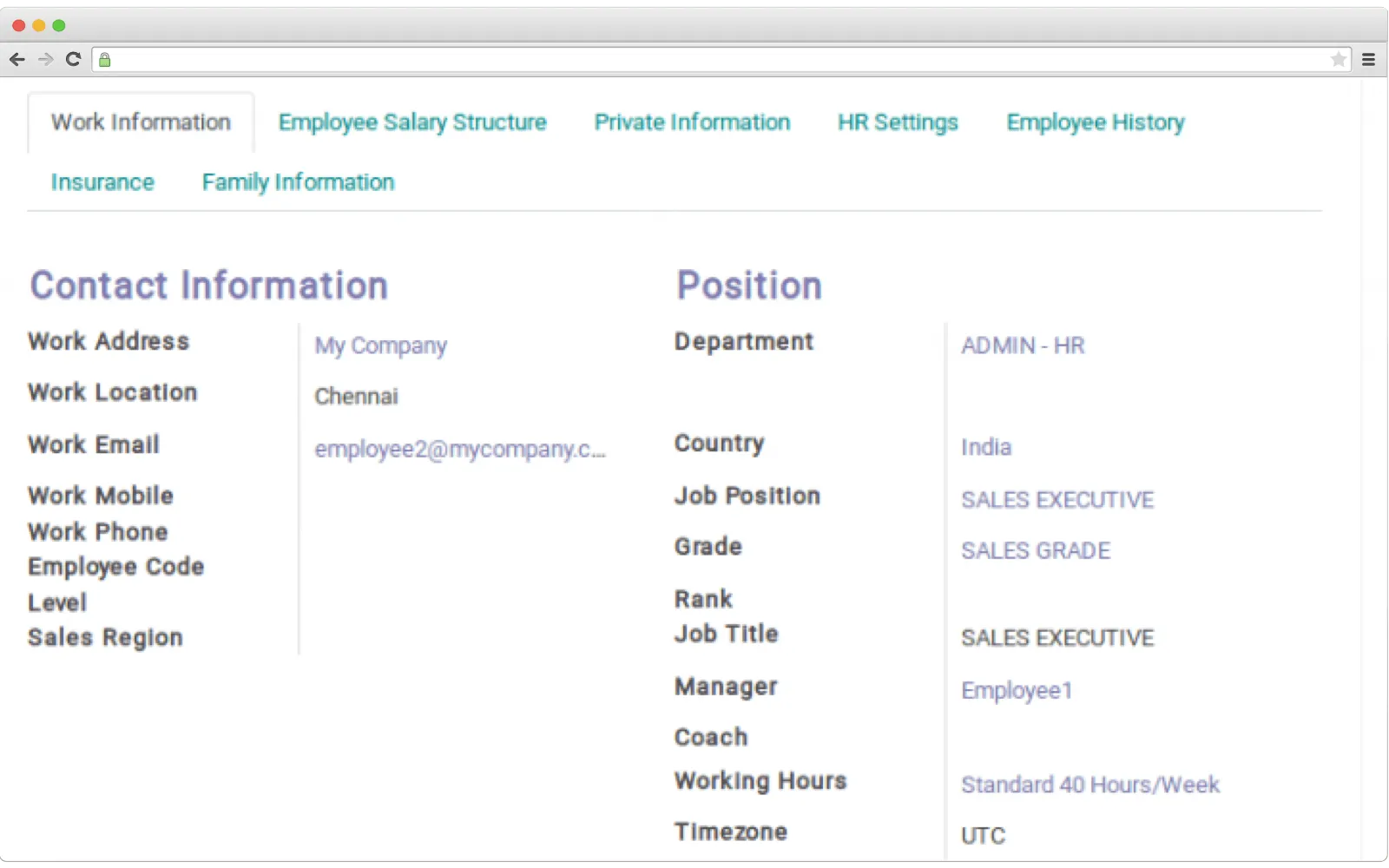 How employee profiles look like in ERP
