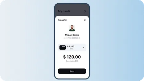 In-app payment feature