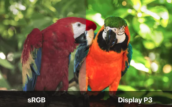 iPhone X screen features: P3 colors