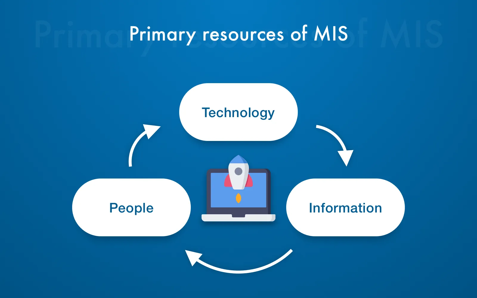 MIS software primary resources concept
