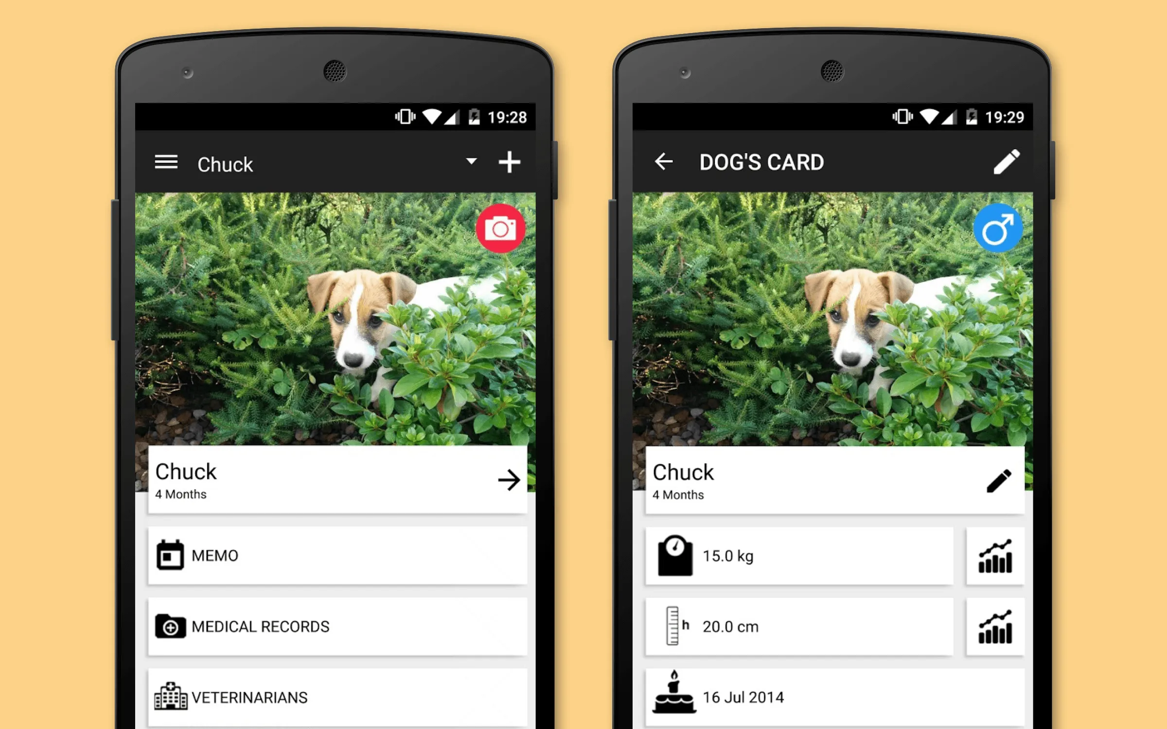 pet medical records app