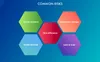 Common risks in IT companies
