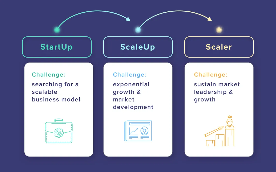 Scale-up vs Startup: different stages of company development