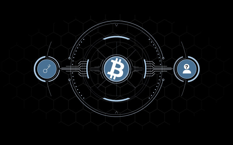 what is a bitcoin wallet