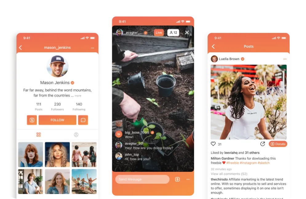 Donation-Based Social Network