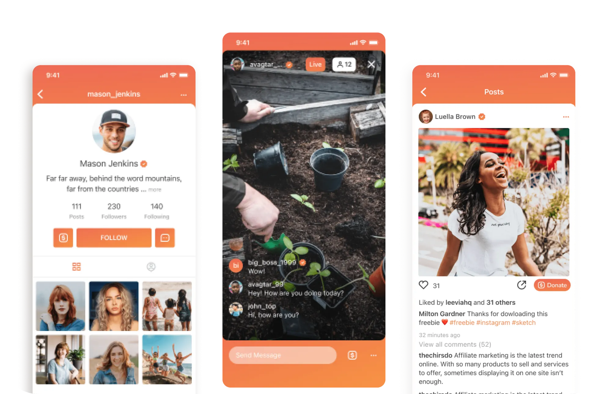 Donation-Based Social Network With Streaming