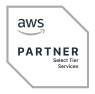 aws partner...